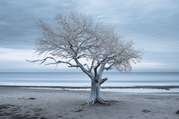 tree on a beach, symbolizing post-holiday blues