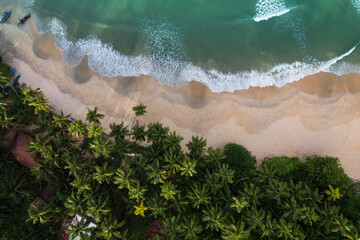 Sea aerial top view with coconut trees and beautiful waves, Tropical beach waves with coconut trees