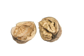 a split walnut