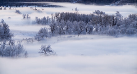 Winter image of the Bow River Valley in fog, Calgary, Alberta