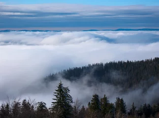 Photo sur Plexiglas Forêt dans le brouillard Fog on the slopes of mountain valleys. Sunny day, clear blue sky.