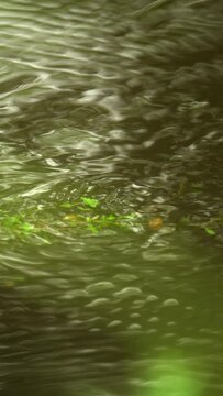 A seamless looping 4k vertical background of a peaceful flowing stream.