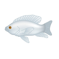 fish goldfish isolated on white