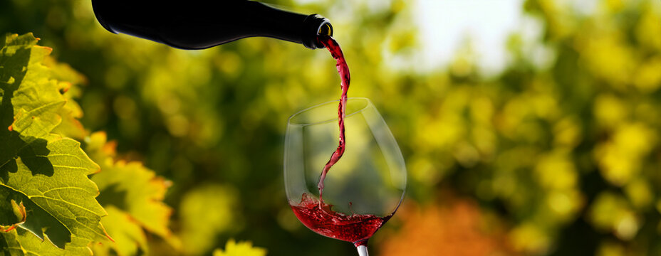Wine glass with pouring red wine and vineyard landscape in sunny day. Winemaking concept, copy space