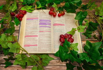 Bible surrounded with vines and grapes. Symbolic image of how gospel from God is producing fruits. John 15 where Jesus is telling how He is the Vine and we are the branches. Some passages highlighted.