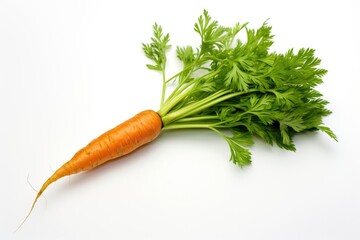 a vibrant orange carrot with fresh green tops on white