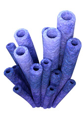 3D Rendering Blue Coral on White © photosvac