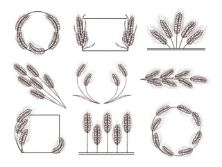 Hand drawn wheat decor. Ear of wheat frame, harvest border and divider. Wheat wreaths vector illustration set - obrazy, fototapety, plakaty