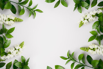 Obraz na płótnie Canvas Natural green branches and white flowers on empty white background with copy space. Trendy template with fresh leaves. Eco summer concept. Skin care product marketing Minimal plant flat lay. Top view.