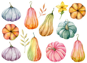 Autumn Thanksgiving Watercolor Pumpkins set on white background