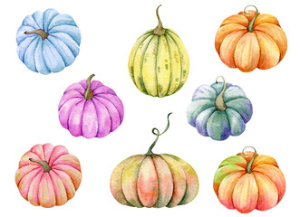 Autumn Thanksgiving Watercolor Pumpkins set on white background
