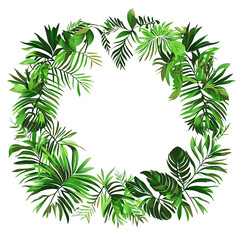 Tropical wreath with palm leaves on white background. 
