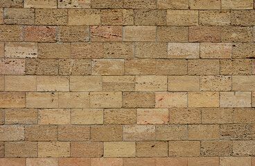Shelly limestone background texture. Stone wall made of shelly limestone, it is a highly fossiliferous limestone, composed of a number of fossilized organisms.
