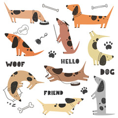Set of Dachshund dogs, cute and funny characters, children's print. Vector illustration.