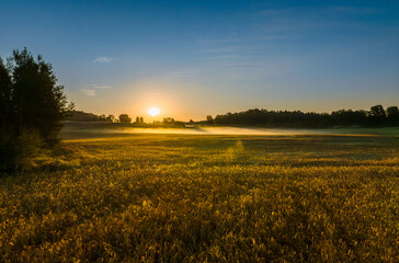 Sunrise time bay Lake Sivers.  Nature of Latvia, Latgale.