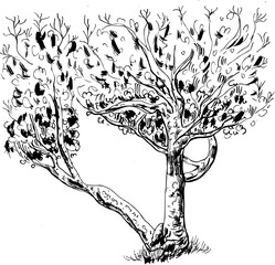 Tree vintage ink vector illustration 