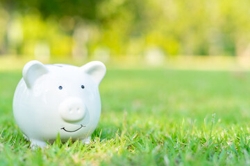 Investing and saving money concept. Cute white piggy bank standing in green grass outdoors with...