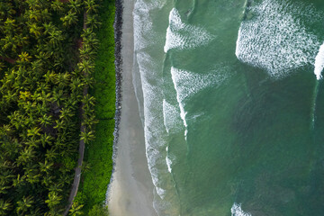 Aerial Drone Photo of waves crashing on the beach, Kerala nature landscape drone view of Kannur Muzhappilangad beach, tropical beach waves with palm trees