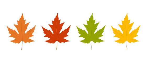 Set of vector leaves. Maple leaves. Isolated on a white background.