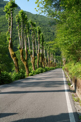 Landscape along the road of Arni, from Garfagnana to Alpi Apuane