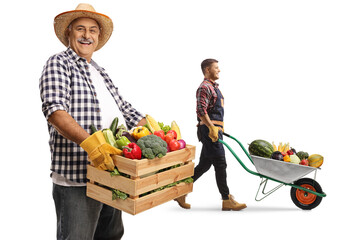 Mature farmer holding a crate with fruits and vegetables and a younger man pushing a wheelbarrow