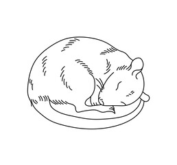 Vector isolated one single sleeping rat mouse mice  colorless black and white contour line easy drawing