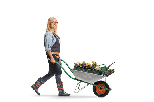 Full length profile shot of a female gardener pushing a wheelbarrow full of flowers