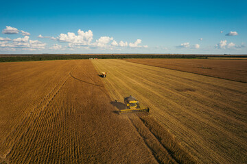 harvest image in soybean field