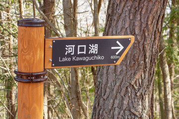 Signpost in the forest with direction to the left and right