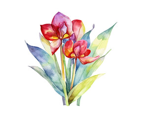 Watercolor flower. Vector illustration design.