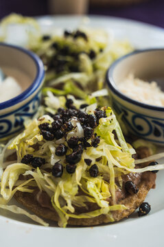 Sopes with beans, chicatana ants, lettuce, cream and red sauce, typical Mexican food.