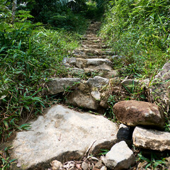 Road track that climbs toward the mountains