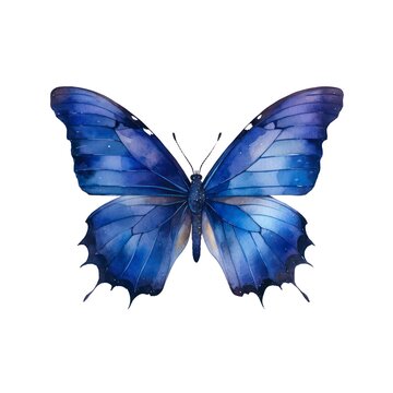 Beautiful dark blue butterfly isolated on white background in watercolor style.