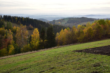 Zlata View