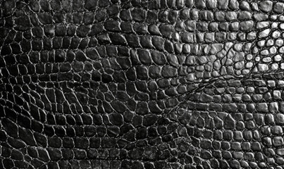 Snake skin background. Animalistic crocodile texture. - obrazy, fototapety, plakaty