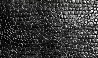 Foto op Canvas Snake skin background. Animalistic crocodile texture. © Lidok_L