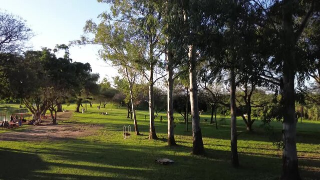 Camping, green, sunset, Waveboard training