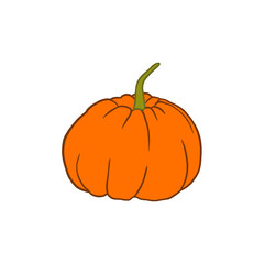 Pumpkin Handrawn