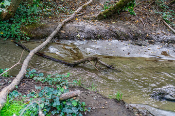 Park Stream Detail