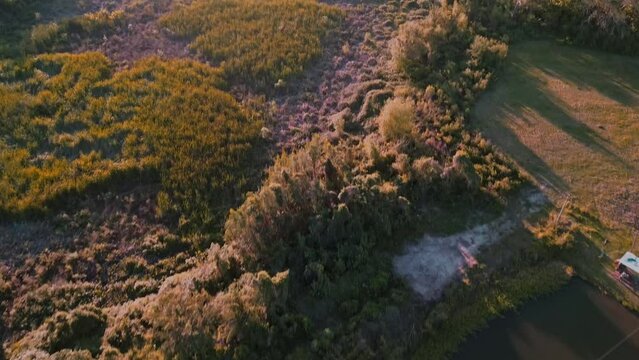Camping, green, sunset, Waveboard training