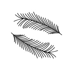 Bird feathers. Hand drawn doodle style. Vector illustration isolated on white. Coloring page.