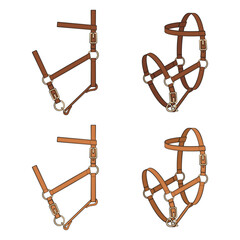 Set of color illustrations with leather halter, headstall, bridle. Isolated vector objects on white background.