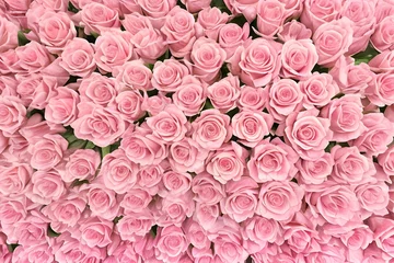 Fotobehang 優雅なピンクのバラが織りなす鮮やかなパターン：完全に開花したバラの花びらと緑色の葉が織り成す自然の美しさを捉えたトップダウンパースペクティブの写真 © sky studio