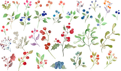Fototapeta na wymiar Watercolor floral set with misletoe, holly berry. Hand drwing illustration isolated on white background. Vector EPS.