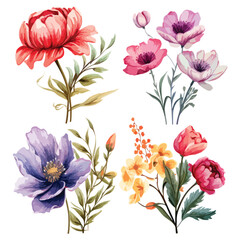 Bouquet Flowers
