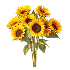 bouquet of several sunflowers, png file of isolated cutout object on transparent background.