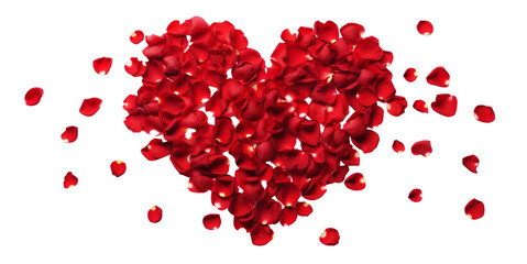 strip of scattered red rose petals, png file of isolated cutout object on transparent background.