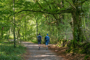 Friends walking on the Way of St. James. Roncesvalles-Zubiri Stage