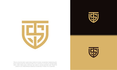 Initials TS. TSW logo design. Initial Letter Logo. Innovative high tech logo template.	