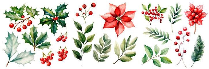 Set of watercolor christmas poinsettia and leaves, isolated on transparent background